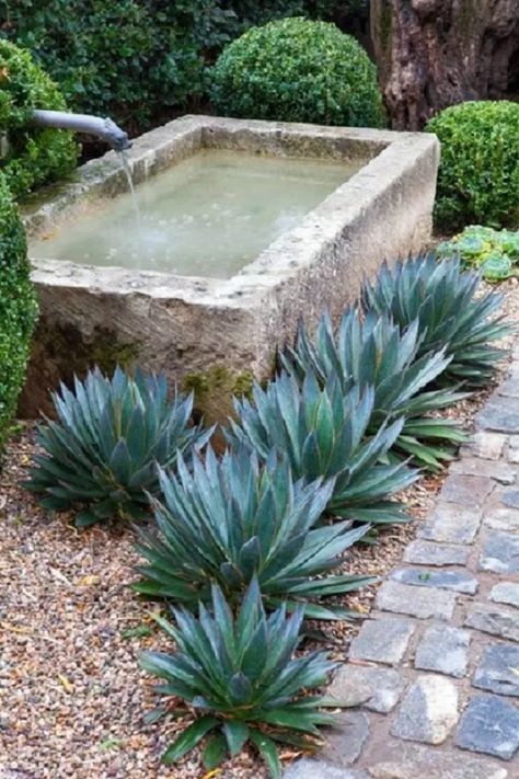 Garden Troughs, Taman Air, Seaside Garden, Fountains Backyard, Modern Garden Design, Outdoor Fountain, Landscape Designs, Water Features In The Garden, Mediterranean Garden