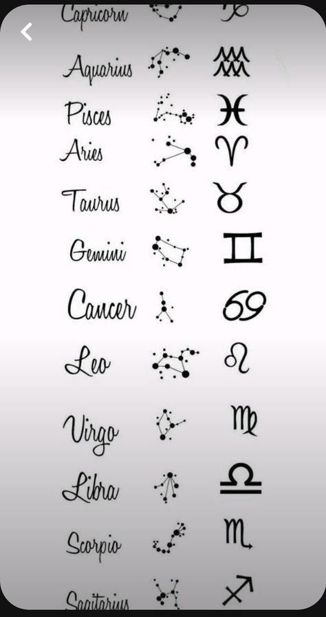 Horoscope Symbols Tattoo, Zodiac Glyphs Tattoo Ideas, Capricorn And Gemini Tattoo, Gemini And Virgo Tattoo, Leo And Gemini Tattoo, Nina Tattoo, Zodiac Signs Tattoos, Aquarius Tattoo Ideas, Signs Tattoo