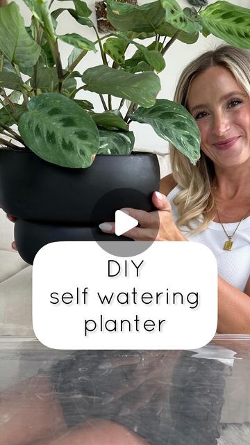 Samantha Hermann on Instagram: "More tips ⬇️ I’ve made my fair share of self watering pots but none have been this ✨aesthetically pleasing✨ I’m so happy with how this turned out! I’m hoping the sealer I used will hold up to constant moisture, but if it doesn’t I’ll just redo it with something stronger. I also ended up pushing a longer wick up into the soil more, so it could saturate it better. These maranta are adorable and I love that they’re variegated! I plan to keep them back a bit from a NW window. I’ll let the water reservoir go dry before adding more water. @solsoils discount code is H+P 🫶🏻 Give this DIY a try, it’s super simple & can be adapted to so many different dishes!" Diy Self Watering Planter, Diy Planters Indoor, Water Plants Indoor, Self Watering Containers, Plant Display Ideas, Self Watering Pots, Plant Hacks, Diy Plant Hanger, Water Reservoir