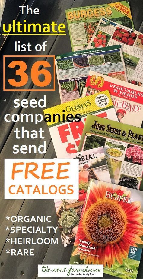 36 seed companies that send free catalogs right to your door. How to get tons of free catalogs. organic, specialty, heirloom, rare Heirloom Seeds Catalog, Seed Companies, Organic Insecticide, Garden Catalogs, Organic Pesticide, Plant Catalogs, Organic Vegetable Garden, Winter Vegetables, Seed Catalogs