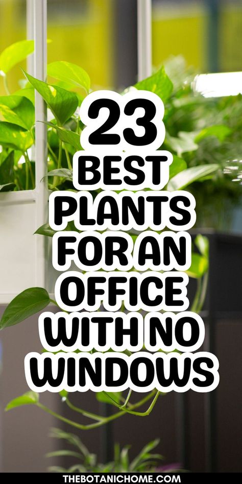 best plants to brighten a windowless office, showcasing indoor plants that thrive in low light for office decor and styling. Office Scent Ideas, Small Window Sill Plants, How To Fit More Plants In A Room, White Office With Plants, Plants For An Office With No Windows, Plants For Desk At Work, Plants Around Window Indoor, Low Light Office Decor, Best Office Plants No Windows