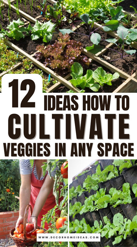 Discover the secrets to designing a vegetable garden that thrives, no matter how much space you have. From tiny balconies to sprawling backyards, this guide covers clever layouts, container gardening tips, and strategic planting tricks to help you grow fresh produce anywhere! Veggie Garden Layout, Home Tricks, Garden Landscaping Backyard, Gardening For Dummies, Vegetable Garden Planner, Plant Hacks, Garden Layout, Veggie Garden, Backyards