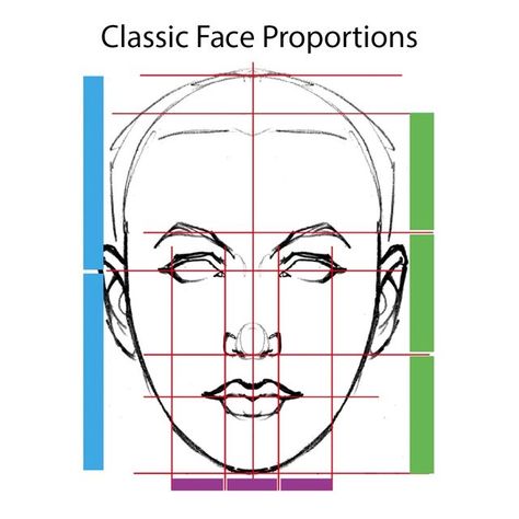 @21_draw on Instagram: "Almost NOBODY looks like this! Everything is symmetrical and perfectly aligned. 😲⁠ ⁠ So... why learn classic face proportions 🤷🏽⁉️⁠ ⁠ "Understanding “traditional” proportions can help you become aware of the differences that define one face from another. ⁠ ⁠ Caricaturing is about being attuned to variation, however subtle. These variations from the “standard” are usually the best choices for exaggeration by emphasizing an increase or decrease in size, an unusual placem 21 Draw, Symmetrical Face, Brain Juice, Facial Proportions, Face Proportions, Ceramic Art Sculpture, Caricature Artist, Comic Drawing, Popular Art