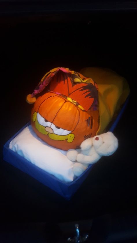 Garfield Painted Pumpkin, Garfield Pumpkin Painting, Garfield Pumpkin, Pumpkins Designs, Garfield Halloween, Themed Costumes, Painting Pumpkins, Pumpkin Decorating Contest, Pumpkin Contest