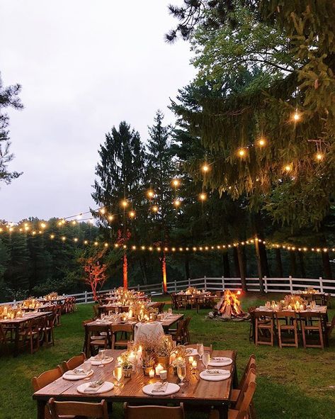 Fall Backyard Wedding Decor, Outdoor Reception Ideas Backyards, Wedding Under 100 People, Farmhouse Backyard Wedding, Classy Small Wedding Ideas, Small Outdoor Reception, At Home Reception, Backyard Micro Wedding Fall, Vancouver Island Wedding