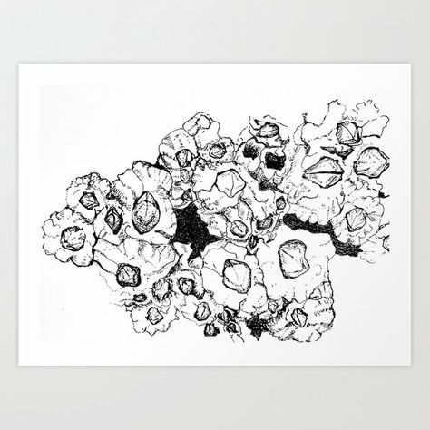 Barnacles Drawing, Pen Art Drawings, Nature Journal, Pen Art, Landscape Prints, Society6 Art, Ink Art, Art Techniques, Compass