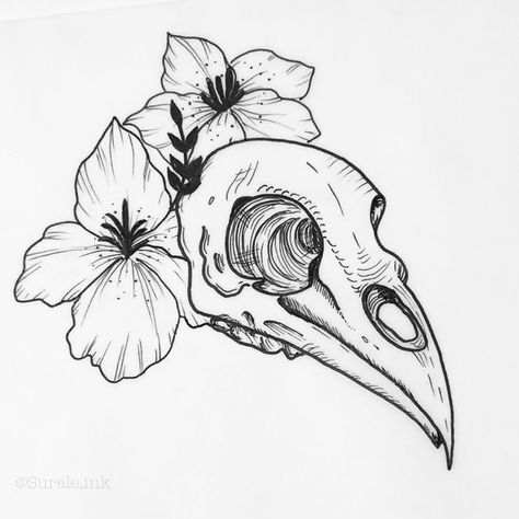 Bird Skull With Flowers Tattoo, Traditional Bird Skull Tattoo, Raven Skull With Flowers Tattoo, Raven Skull Tattoo Flower, Skull And Flower Painting, Crow Skull Tattoo Design, Hawk Skull Tattoo, Vulture Skull Tattoo, Gothic Bird Tattoo