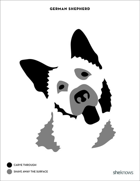 Halloween pumpkin carving printables & ideas: German shepherd Printable Pumpkin Patterns, Bull Images, Bulldog Images, Dog Template, Dog Stencil, Pumpkin Carving Stencils, Carving Templates, Awesome Costumes, Pumpkin Patterns