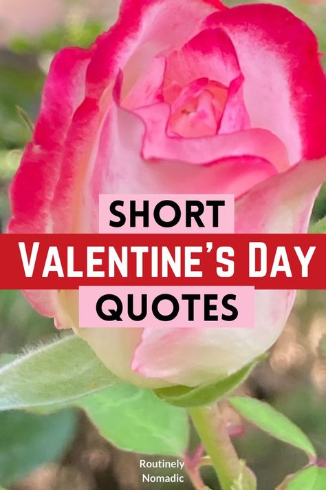 Did you just have the most amazing time on Valentine’s Day and are now looking for the best short Valentine’s Day quotes for inspiration and Instagram? Here are the best cute, funny, inspirational quotes about love and short romantic Valentine’s Day quotes for him (boyfriend or husband) or her (girlfriend or wife). Find the best one that fits your experience, picture or just inspires you! Valentine’s Day Quotes For Wife, Valentine's Quote For Husband, Husband Valentine Card Handmade, Valentine Love Quotes For Him, Quotes For Valentines Day For Him, Love Quotes For Him Valentines Day, Valentine’s Day Love Quotes, Valentine Sayings For Boyfriend, Valentines Poems For Her