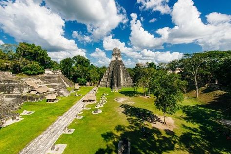 Parque Nacional Tikal, Guatemala. Patrimonio de la Humanidad Tikal Guatemala, Etosha National Park, Best National Parks, Tikal, Grand Canyon National Park, Guatemala, Grand Canyon, Golf Courses, Dolores Park