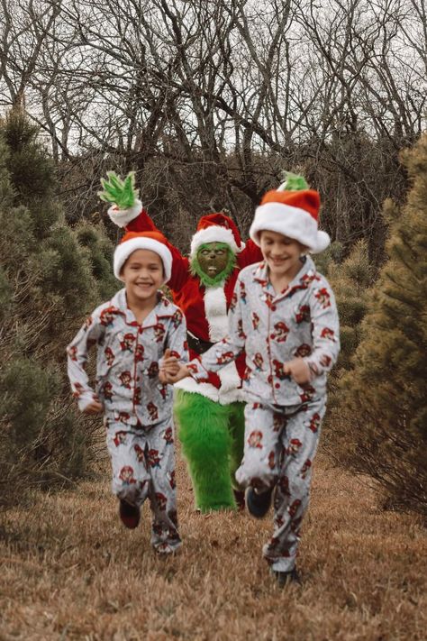 Grinch Pictures Photography, Christmas Fun Photoshoot, Grinch Christmas Cards Photo, Grinch Themed Photo Shoot, Grinch Family Photos, The Grinch Photoshoot, Funny Kid Christmas Picture Ideas, Grinch Mini Sessions, Pictures With The Grinch Ideas