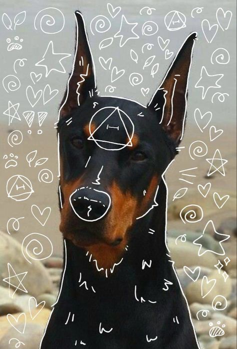 Doberman Therian Mask, 3 Doberman, Dog Therian, Cat Mask Diy, Animal Pfp, Therian Pfp, European Doberman, Black Doberman, Free Pfp