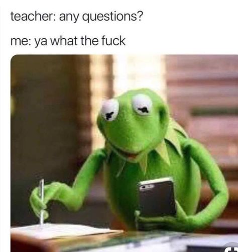 🤷🏼‍♀️🙋🏼‍♀️ Kermit Funny, Memes Of The Day, Joke Of The Day, Kermit The Frog, School Memes, Memes Humor, School Humor, The Frog, Funny Posts