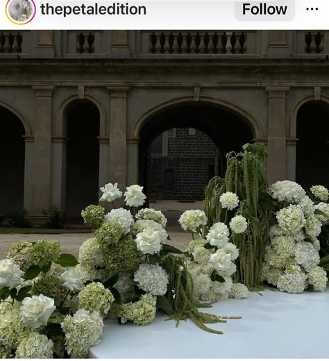 Green Hydrangea Wedding, Hydrangea Aesthetic, White Hydrangea Wedding, White Colour Palette, Ivory Wedding Flowers, Olive Green Weddings, Jasmine Wedding, Wedding Flowers Hydrangea, Ceremony Florals