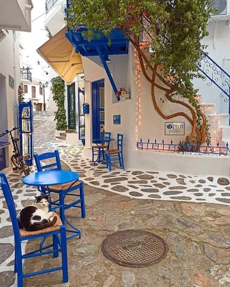 Real Paradise Greece ❤ | Skiathos Airbnb Aesthetic, Skiathos Island, Skiathos Greece, Greece Pictures, Inspo Art, Europe Aesthetic, Honeymoon Spots, Skiathos, Greece Vacation