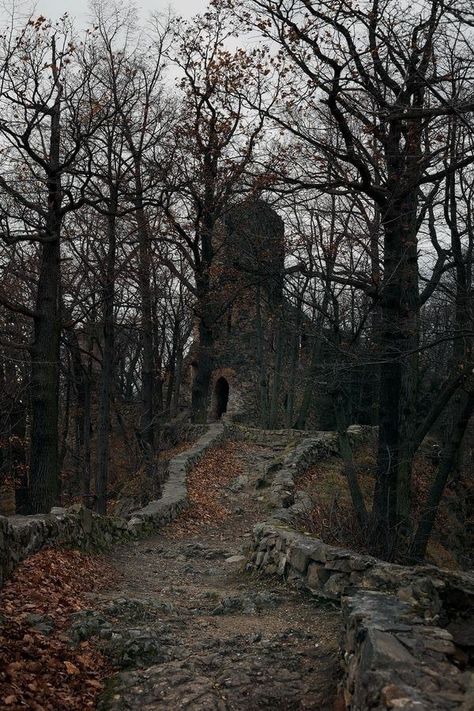 Dark Naturalism, Horror Vintage, Dark Castle, Castle Aesthetic, Dark Academia Aesthetic, Matte Painting, West Village, Dark Places, Dark Forest