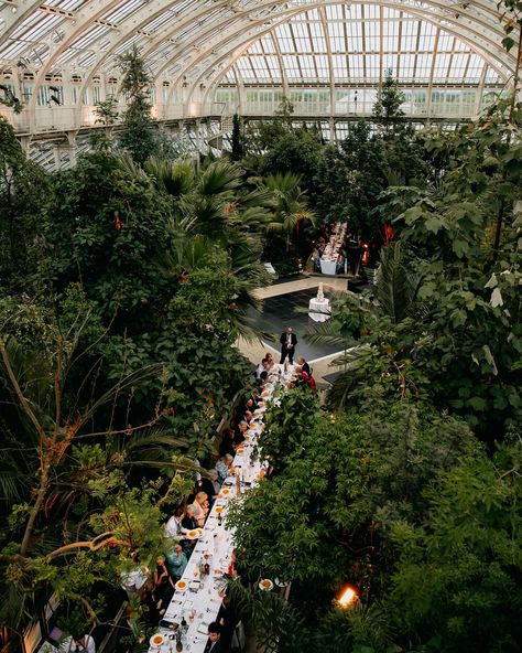 Dinner in the stunning temperate house at @kewevents @kewgardens @bloomandcrumb #kewgardens #kewwedding #kewevents #temperatehouse Kew Gardens Wedding, Gardens Wedding, Kew Gardens, London Wedding, Weeding, Say Hi, Garden Wedding, Wedding Venue, Wedding Venues