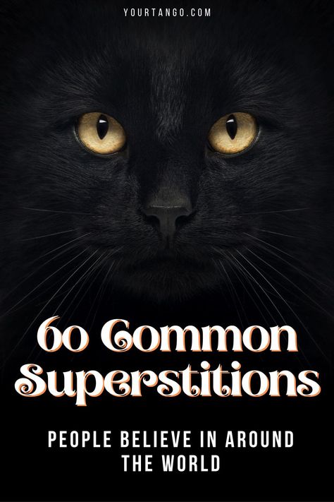 Witchy Superstitions, Superstitions Art, Superstitions Quotes, Superstition Birthday Party, Superstition Party Ideas, Halloween Superstitions, Southern Superstitions, Superstition Quotes, Superstition Party