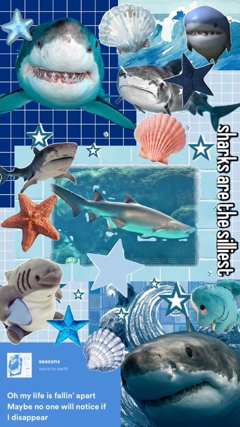 shark, aesthetic, collage, wallpaper Sharks Pfp, Shark Collage, Ocean Drawing, Ocean Room, Collage Wallpaper, So Silly, Marine Biology, Silly Me, Room Themes