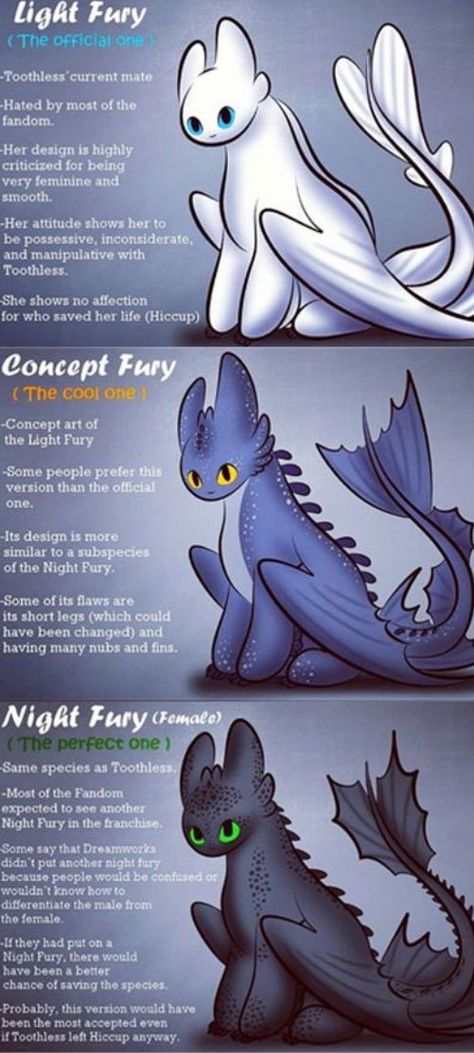 Night Fury, Dawn Fury, Light Fury How To Train Your Dragon Types Of Dragon, Night Fury Art, Night Fury Oc, Night Dragon, Cute Toothless, Toothless And Stitch, Toothless Night Fury, Night Fury Dragon, Cute Dragon Drawing