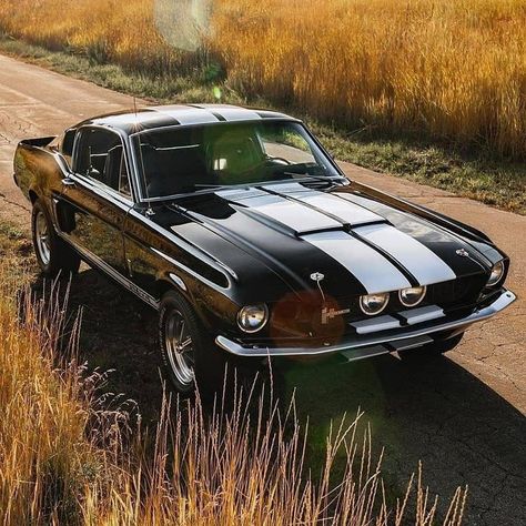 Shelby Mustang Gt500, Mobil Mustang, Muscle Cars Mustang, Vintage Mustang, 1967 Mustang, Old Muscle Cars, Mustang Gt500, Ford Mustang Car, Aesthetic Cool