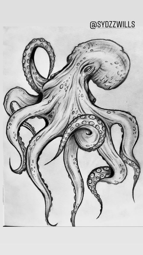 Octopus Realistic Drawing, Octopus Drawing Pencil, Kraken Tattoo Design Drawings, See Creatures Drawing, The Kraken Drawing, Octopus Sketch Drawings, Octopus Drawing Reference, Octopus Pencil Drawing, Sea Creatures To Draw