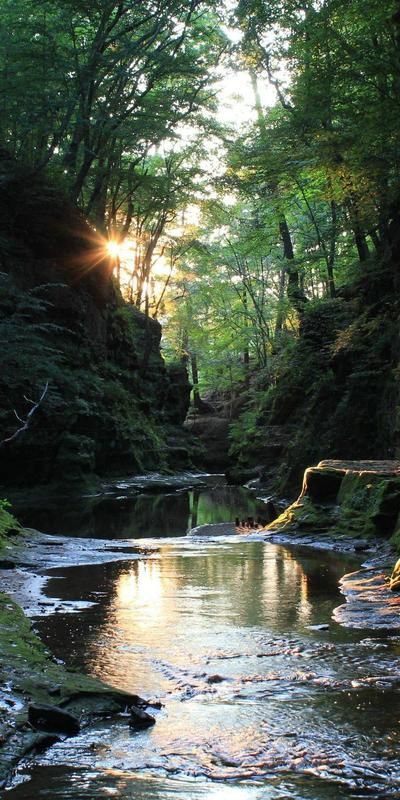 Pewit's Nest: Wisconsin's secret gorge surrounded by waterfalls #travel #roadtrips #roadtrippers Exploring Wisconsin, Secret Forest, Swimming Hole, Wisconsin Travel, Image Nature, Swimming Holes, Beautiful View, Alam Semula Jadi, Pretty Places