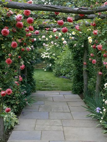 French Cottage Garden, Garden Vines, Cottage Garden Design, Garden Arbor, Flower Garden Design, Modern Garden Design, Garden Elements, Beautiful Flowers Garden, Garden Pathway