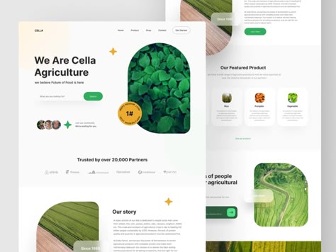 Agriculture Website Design Inspiration, Ayurvedic Website Design, Farm Web Design, Eco Friendly Website Design, Farm Website Design Inspiration, Farming Website Design, Eco Website Design, Environmental Website Design, Agriculture Website Design