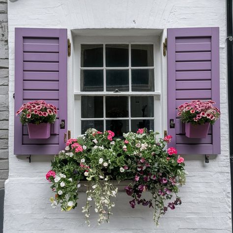 Shutter Color Ideas😍😍 Purple Shutters, Window Shutters Exterior, Shutter Colors, Door Casing, Shutter Doors, Shutters Exterior, Brick Exterior House, Window Shutters, Exterior House Colors