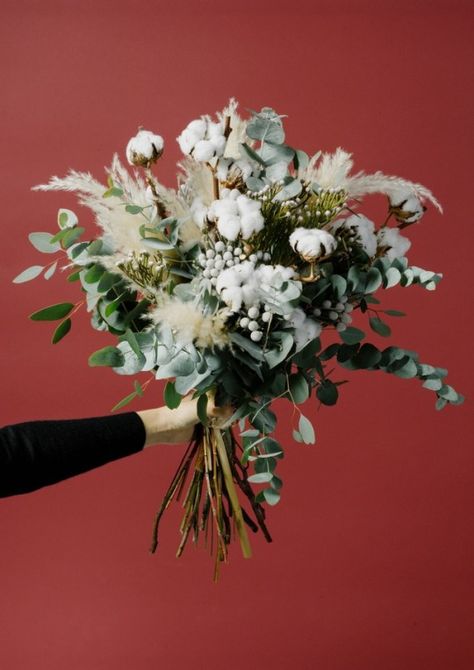 Flannel Flowers Silver Brunia, Cotton Bouquet, Flowers Winter, Flannel Flower, Winter Bouquet, Cotton Wedding, Winter Birthday, Native Garden, Wedding Souvenirs