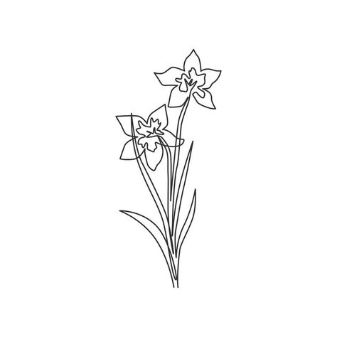 Daffodil Outline, Line Drawing Tattoos, Daffodil Tattoo, Daffodil Flower, Continuous Line Drawing, Outline Drawings, Continuous Line, Birth Month Flowers, Birth Flowers