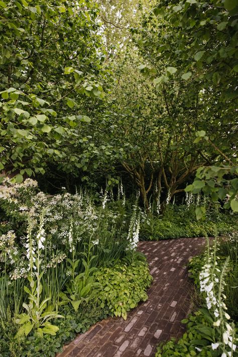 What to see at Chelsea Flower Show 2024, according to our garden editor | House & Garden Chelsea Flower Show 2024, Naturalistic Planting, Roof Plants, Side Gate, Shady Garden, Tiny Farm, Bog Garden, Chelsea Garden, Best In Show