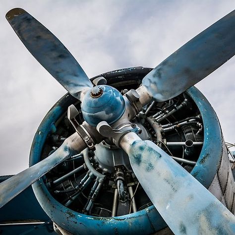 Propeller Decor, Propeller Airplane, Airplane Artwork, Cloudy Evening, Polaroid Picture Frame, Gut Feelings, Airplane Propeller, Movie Board, Polaroid Picture