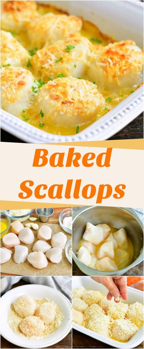 Parmesan Baked Scallops, Fried Sea Scallops, Baked Scallops With Ritz Crackers Recipe, Scallops And Crab Recipes, How To Bake Scallops In The Oven, Sea Scallop Recipes Baked, Baked Shrimp And Scallops, Oven Baked Scallops Recipes, Jumbo Scallops Recipes