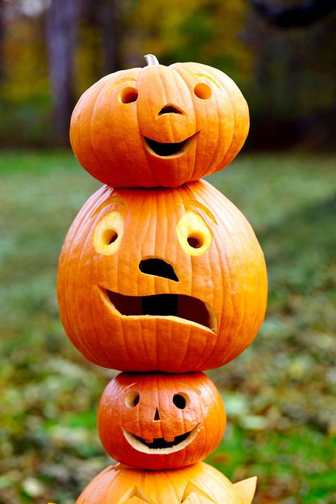 19 Smiling Pumpkin Ideas to Make for the Happiest Halloween Ever Happy Pumpkin Faces, Free Pumpkin Carving Patterns, Easy Pumpkin Carving Ideas, Unique Pumpkin Carving Ideas, Pumpkin Carving Patterns Free, Smiling Pumpkin, Easy Pumpkin Carving, Pumpkin Carving Patterns, Happy Pumpkin