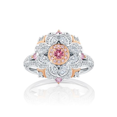 Argyle Pink Diamond Specialists - London, Gold Coast & Sydney - Calleija Argyle Pink Diamonds, Zara Phillips, Wedding Rings Diamond, Jewlery Necklace, Big Rings, Necklace Ring, Diamonds And Gold, Rings Diamond, Pink Diamond