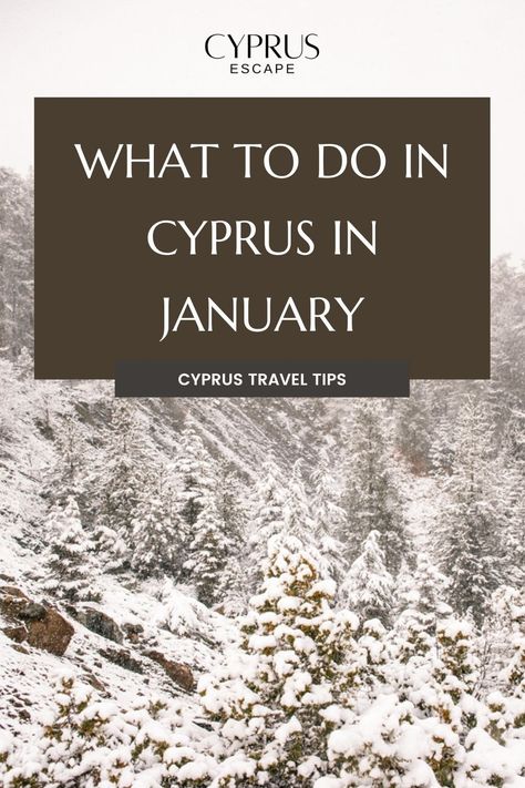 🍷 Warm up your January with a trip to Cyprus. Explore local wineries, soak in the history, and enjoy the serene beauty of the island in winter. Best Places In Cyprus, Cyprus Travel, Visit Cyprus, Paphos Cyprus, Winter Tips, Historic Landmarks, Limassol Cyprus, Winter Hacks, Adventure Guide