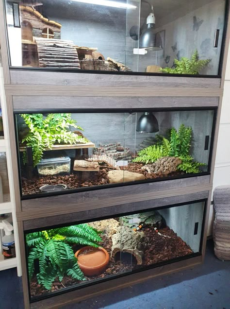 Reptile Rack, Indoor Rabbit Cage, Snake Cages, Snake Terrarium, Frog Terrarium, Snake Enclosure, Gecko Terrarium, Fish Tank Terrarium, Snake Tank