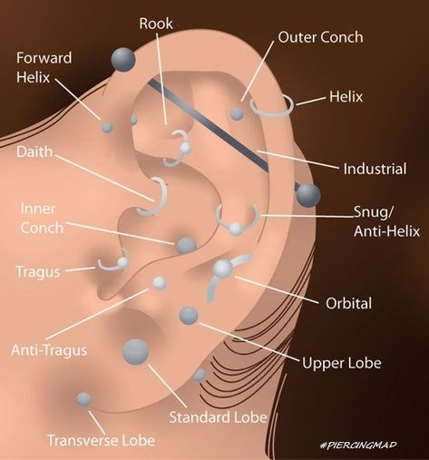 Piercings Corps, Ear Piercings Industrial, Second Ear Piercing, Ear Peircings, Ear Piercings Chart, Piercing Chart, Types Of Ear Piercings, Ear Parts, Multiple Ear Piercings