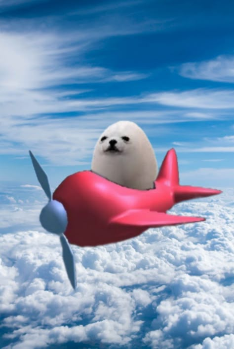 Egg Dog Pfp, Egg Meme, Seal Wallpaper, Egg Dog, Dog Animation, Cute Small Animals, Dog Games, Dog Icon, Cute Desktop Wallpaper