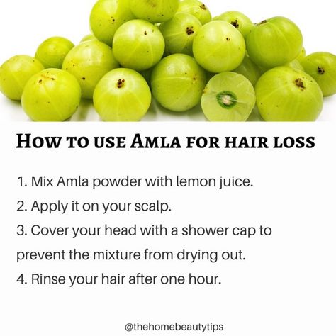 How to use Amla for hair loss:  @thehomebeautytips  1. Mix Amla powder with lemon juice. 2. Apply it on your scalp. 3. Cover your head with a shower cap to prevent the mixture from drying out. 4. Rinse your hair after one hour.  #amla #hair #beauty Amla Powder Hair, Amla Powder, Hair Growth Foods, Natural Mask, Home Beauty Tips, Homemade Hair Products, Promote Healthy Hair Growth, Self Confidence Tips, Brain Food