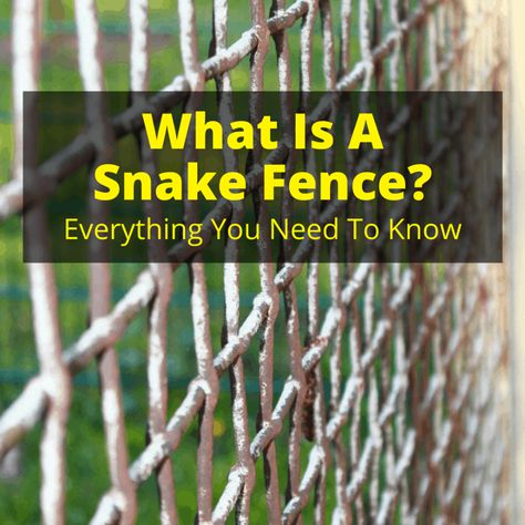 Wondering what a snake fence is? As the name suggests, it is a fence designed to keep out snakes. There are several types, but all are only effective if you also... Snake Repellant Plants, Snake Fence, Snake Repellant, Snake Facts, Muscovy Duck, Garter Snake, Rat Snake, Types Of Snake, Wire Mesh Fence