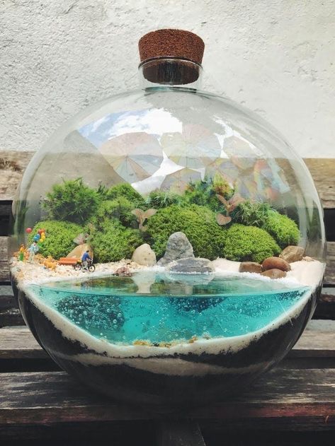 Terrarium Beach Theme, Beach Theme Terrarium, Miniature Fairy Gardens Terrarium, Beach Terrarium, Terrarium Scene, Open Terrariums, Beautiful Terrariums, Mini Bonsai, Air Plant Terrarium