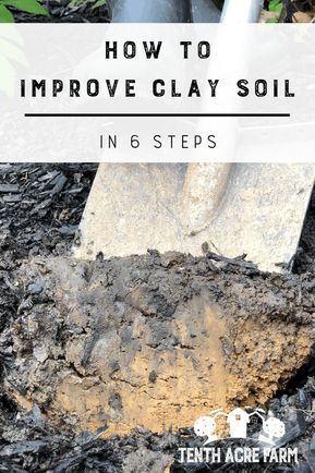 Amending Clay Soil, Clay Soil Plants, Planting In Clay, Soil Conditioner, Permaculture Gardening, Organic Vegetable Garden, Organic Soil, Clay Soil, Soil Improvement