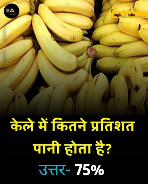 Gk Wallpaper, General Knowledge Questions And Answers, General Knowledge For Kids, Youtube Facts, General Knowledge Questions, Fun Facts About Life, Interesting Facts In Hindi, Interesting Science Facts, True Interesting Facts