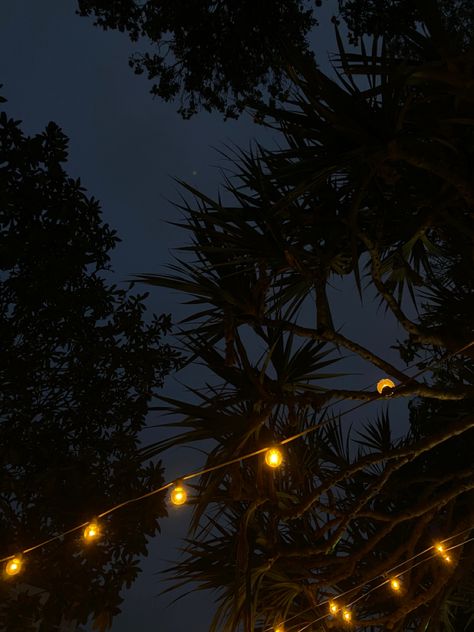 Palm Tree Night Aesthetic, Tropical Beach At Night, Summer Nights Aesthetic Beach, Tropical Night Aesthetic, Dark Florida Aesthetic, Summer Night Aesthetic Wallpaper, Moody Summer Aesthetic, Black Summer Aesthetic, Moody Beach Aesthetic