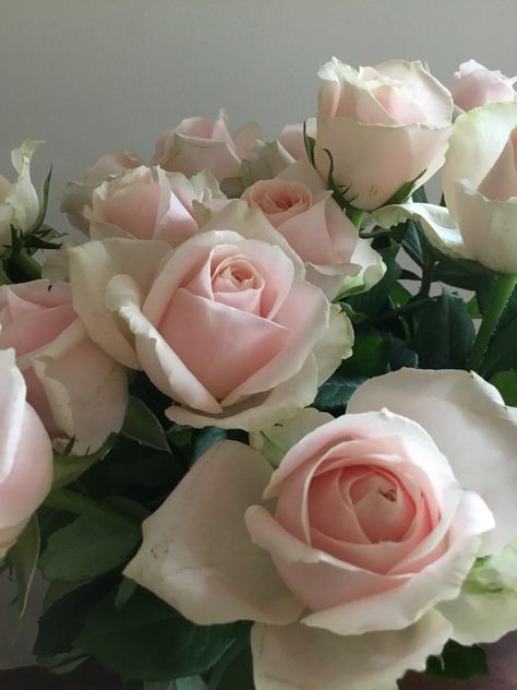 Valentine’s day Light Pink Roses Aesthetic, Evangeline Core, Pink Roses Aesthetic, Princess Syndrome, Bff Forever, Light Pink Roses, Roses Aesthetic, I Can Buy Myself Flowers, Buy Myself Flowers