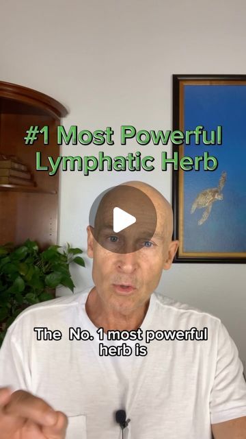 John Douillard's LifeSpa on Instagram: "A misunderstood lymph- + blood-cleansing herb! Learn more at LifeSpa.com or in the link in bio.   Shop Manjistha at Store.LifeSpa.com.   #johndouillard #lifespa #ayurveda #naturalheath #lymph #lymphaticdrainage" How To Unclog Your Lymph Glands Naturally, Lymph Foods, Swollen Lymph Node Remedies, Lymph Nodes Cleanse, Lymph Nodes Location, Lymph Detoxification, Lymph Cleanse, Lymph Health, Lymph Detox