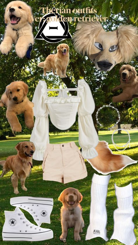 Therian outfit :) Golden Retriever Therian, Black Labradoodle, Dog Golden Retriever, Fruit Bat, Moda Outfit, Friesian Horse, Dogs Golden Retriever, Labradoodle, Golden Retriever